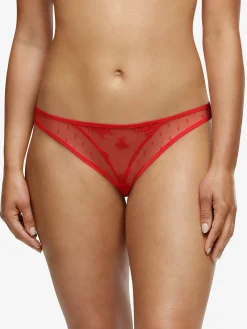 Blanche - Tanga<Darjeeling Hot