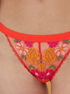 Donna - String<Darjeeling Online