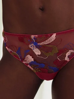 Renée - Tanga<Darjeeling New