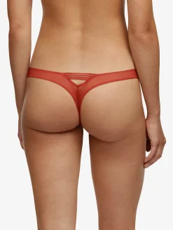 Victoria - String<Darjeeling New